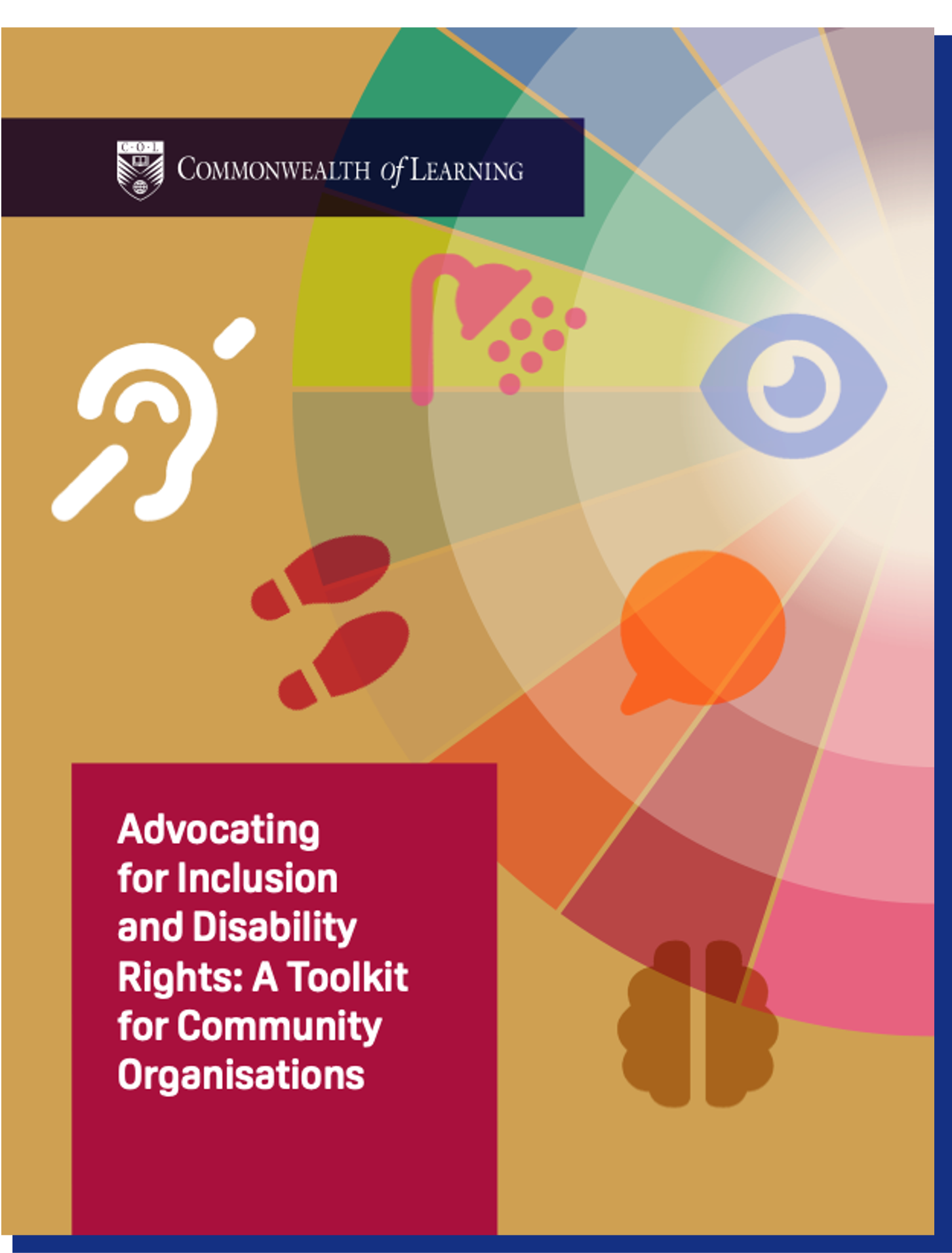 Introducing the Advocating for Inclusion and Disability Rights Toolkit ...